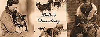 Balto's True Story