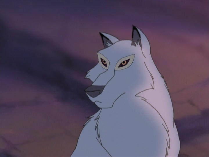 Aniu