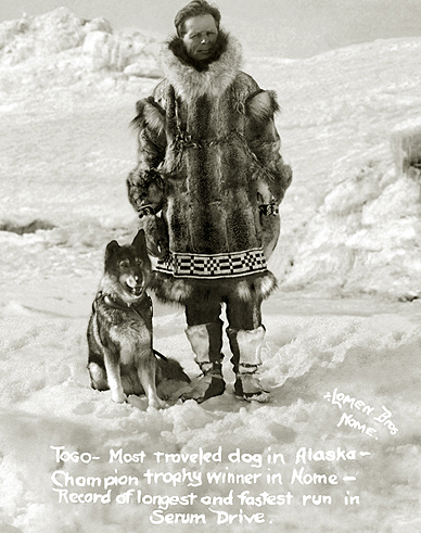 Togo e Seppala